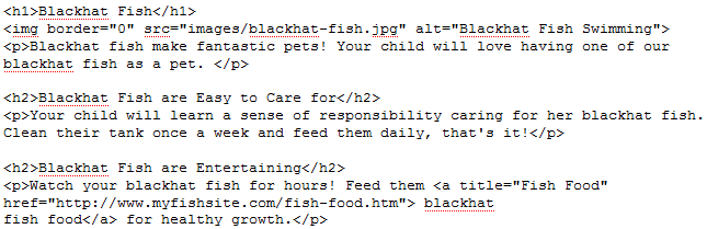 Blackhat Fish Code