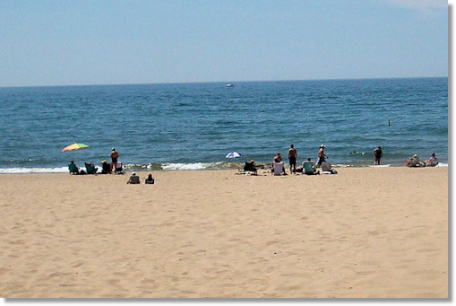 Beach Close-Up