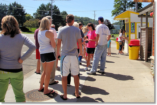 Pronto Pups Line