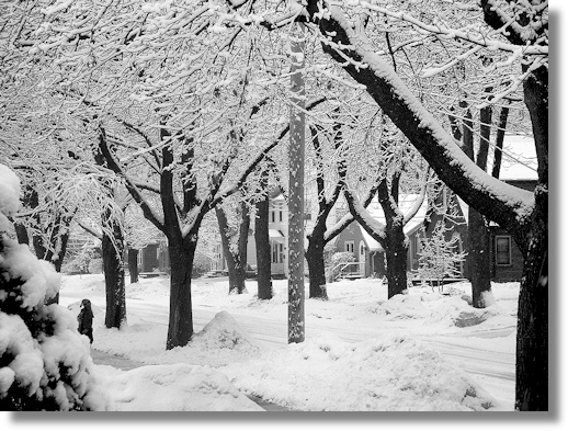 Snowy Street