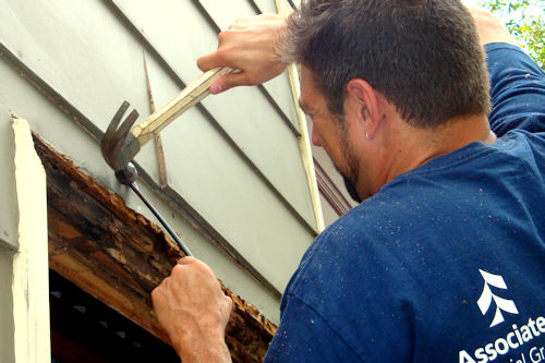 Carpenter Ants - Teacher Pulling Down a Board