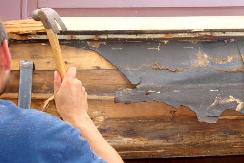 Carpenter Ants - Teacher Working on a Board
