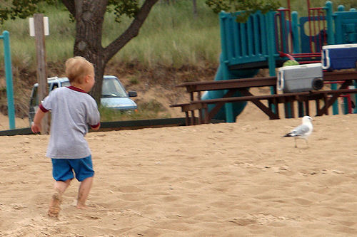 Grand Haven Beach - 