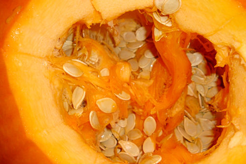 Carving Pumpkins 2010 - Pumpkin Guts