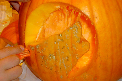 Carving Pumpkins 2010 - Wolf