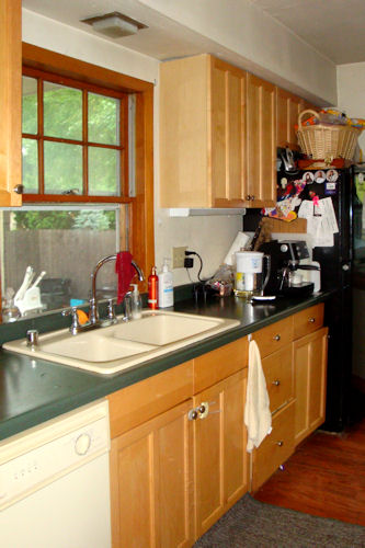 Kitchen - Sink and Refrigerator