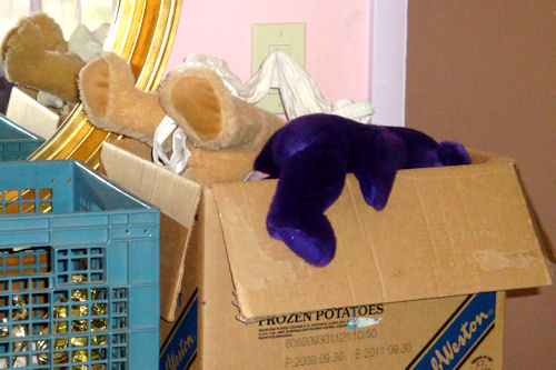 Teddy Bears in Box