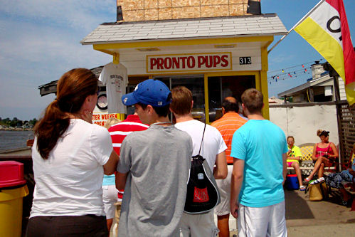 Pronto Pups