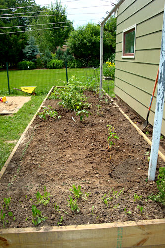 Raised Garden - Side View