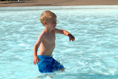 Little Guy Swims