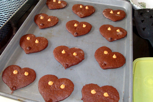 Teddy Bear Cookies - Add Butterscotch and Chocolate Chips