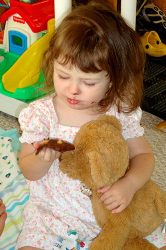 Teddy Bear Cookies - E at Picnic