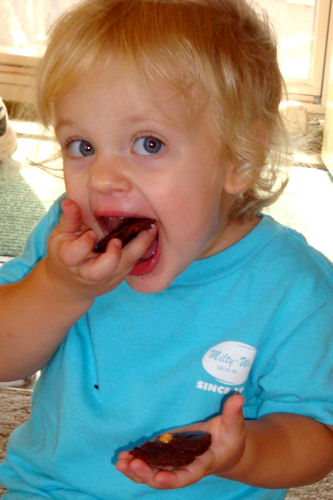 Teddy Bear Cookies - G at Picnic