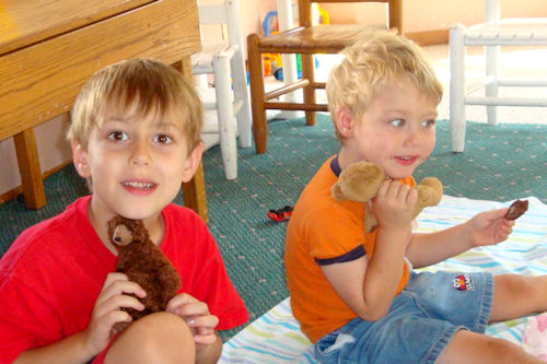 Teddy Bear Cookies - Boys at Picnic