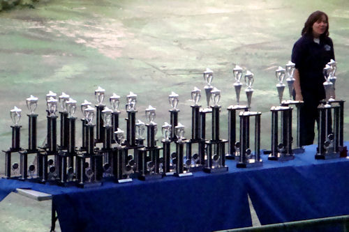 Chicago- Great America, Trophies