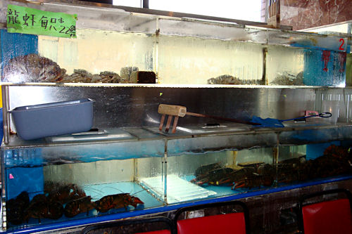 Chicago - Lobster Tank