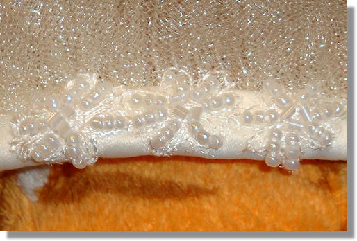 Veil Detail