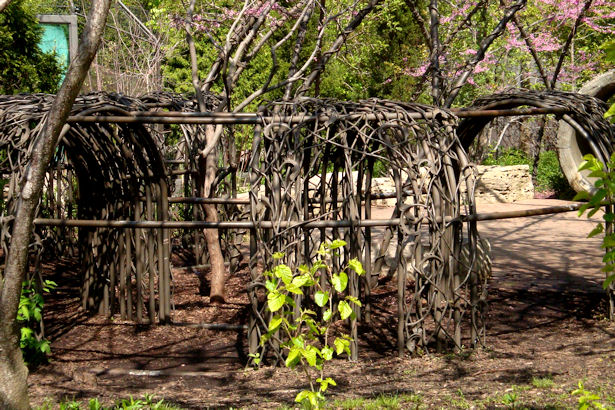 Chicago 2011 - Vine Tunnel