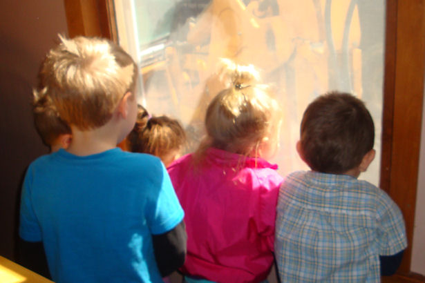 Egress Window - Kids Watching