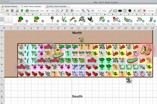 Square Foot Garden - Plants