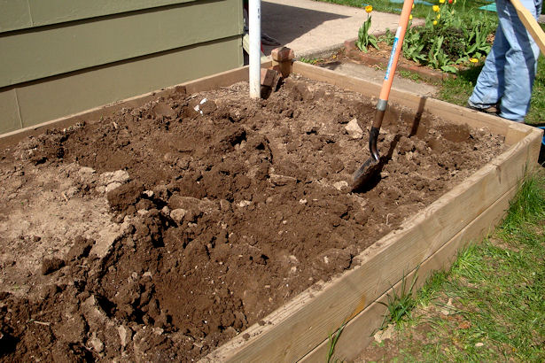 Square Foot Gardening Preparation - Removing Dirt