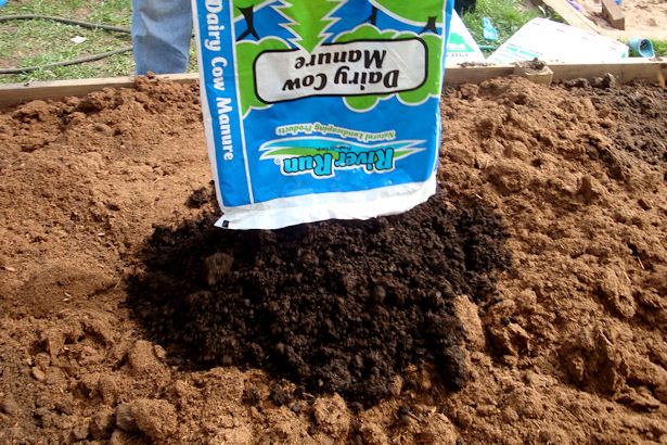 Square Foot Gardening Preparation - Manure