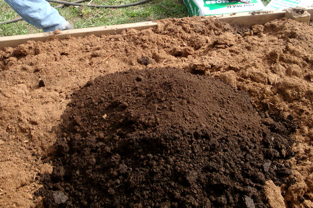 Square Foot Gardening Preparation - Compost