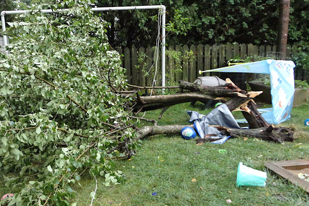 Storm - Pear Tree Down