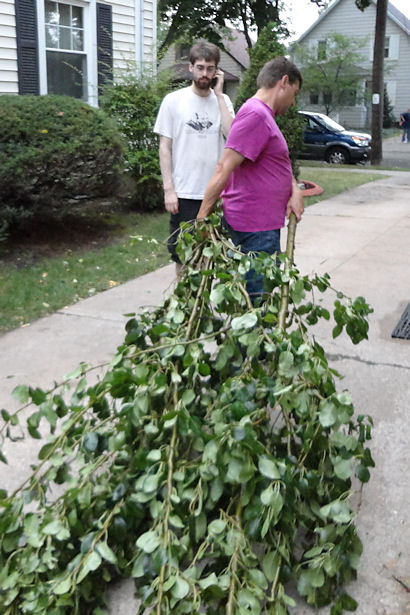 Storm - Teacher Carrying Branches