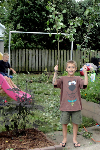 Storm - Z-Man Carrying Twigs