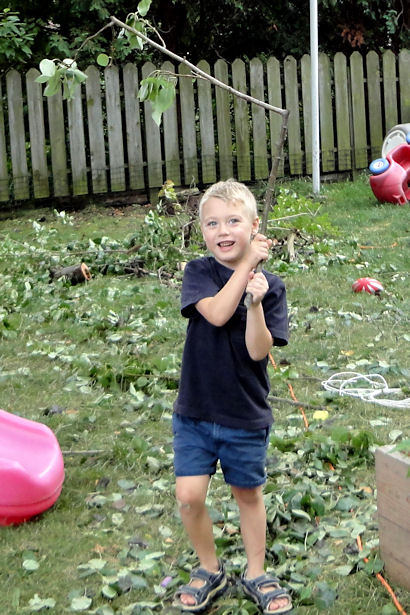 Storm - Little Guy Carrying Twigs