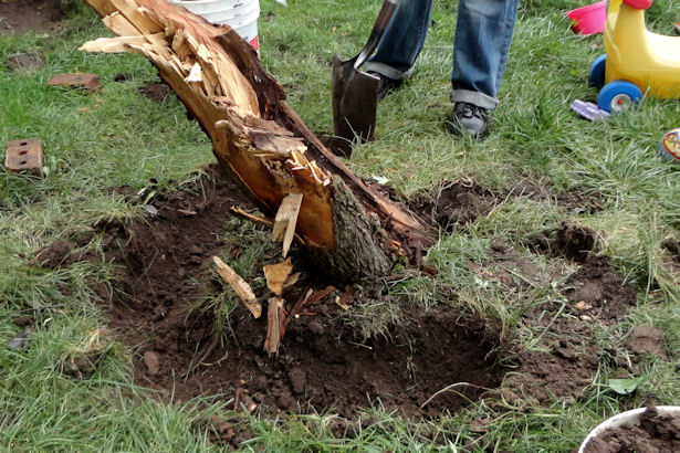 Storm - Trench Around Trunk