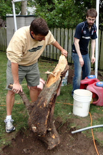 Storm - Teacher Lifting Trunk