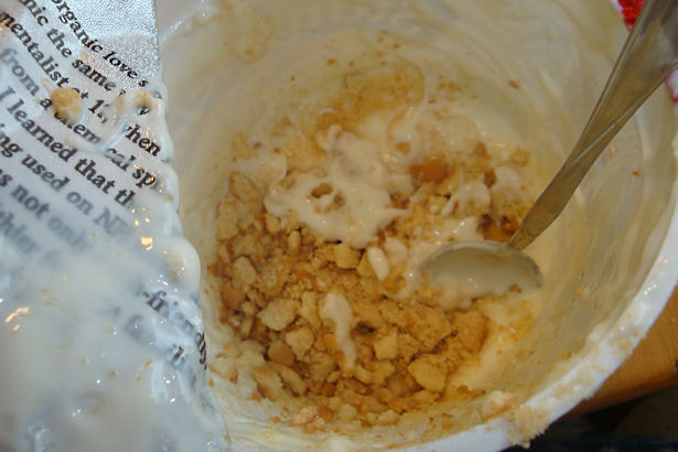 Yogurt Popsicle Recipe - Stir in Vanilla Wafers