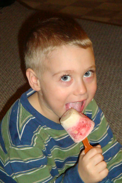 Yogurt Popsicle Recipe - Little Guy Eating