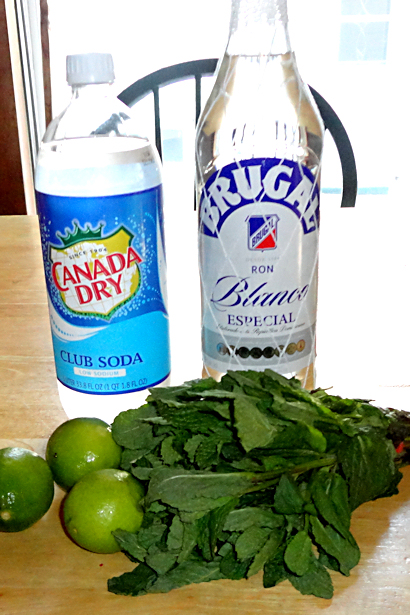 Best Mojito Recipe - Ingredients