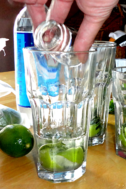 Best Mojito Recipe - Rum