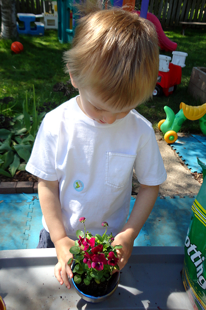 Painted Flower Pots for Mother's Day - Planting Flowers