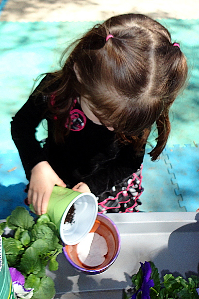 Painted Flower Pots for Mother's Day - Coffee Filter and Dirt