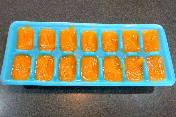Homemade Baby Food - Into Ice Cube Trays