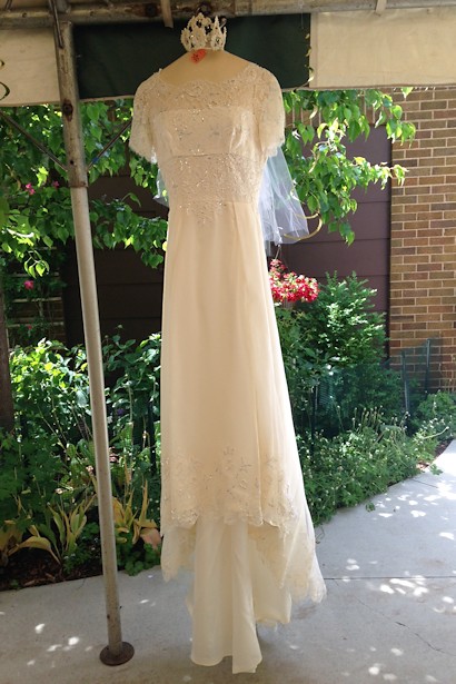 Anniversary Picnic - Wedding Dress