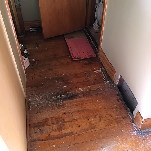 Floor Redo - Day Six & Seven - Hallway