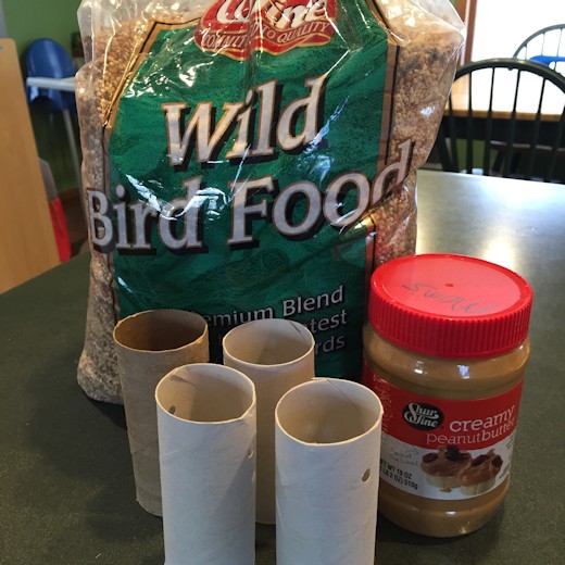 Homemade Bird Feeder - 